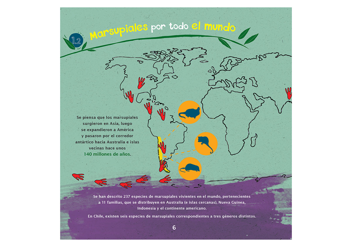 Marsupiales de Chile