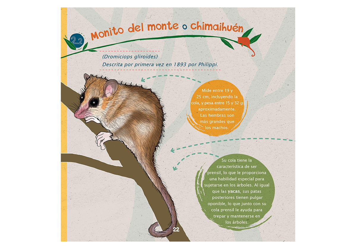 Marsupiales de Chile