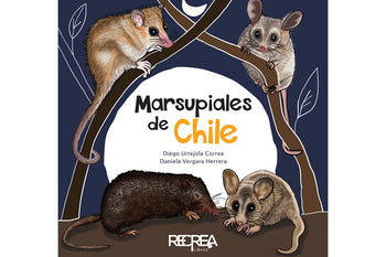 Marsupiales de Chile