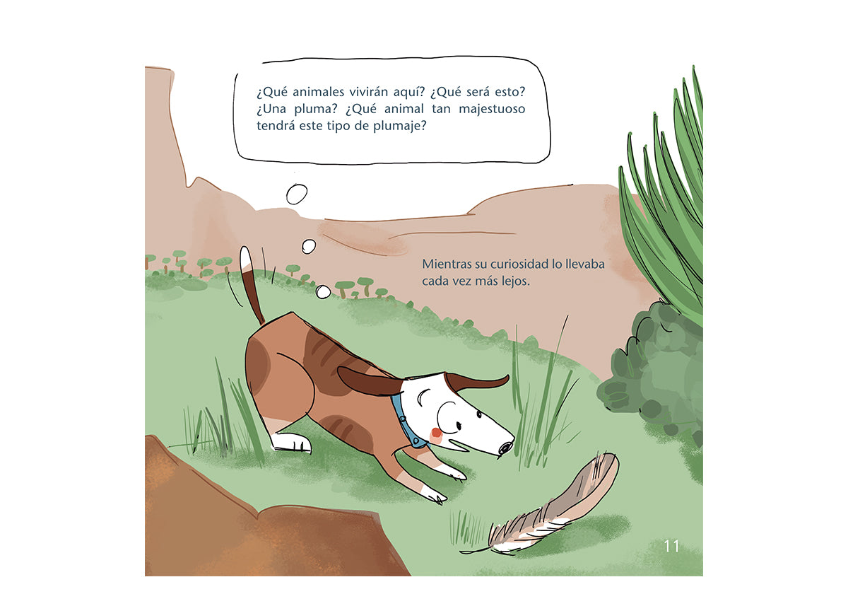 Noé y el cóndor Manque