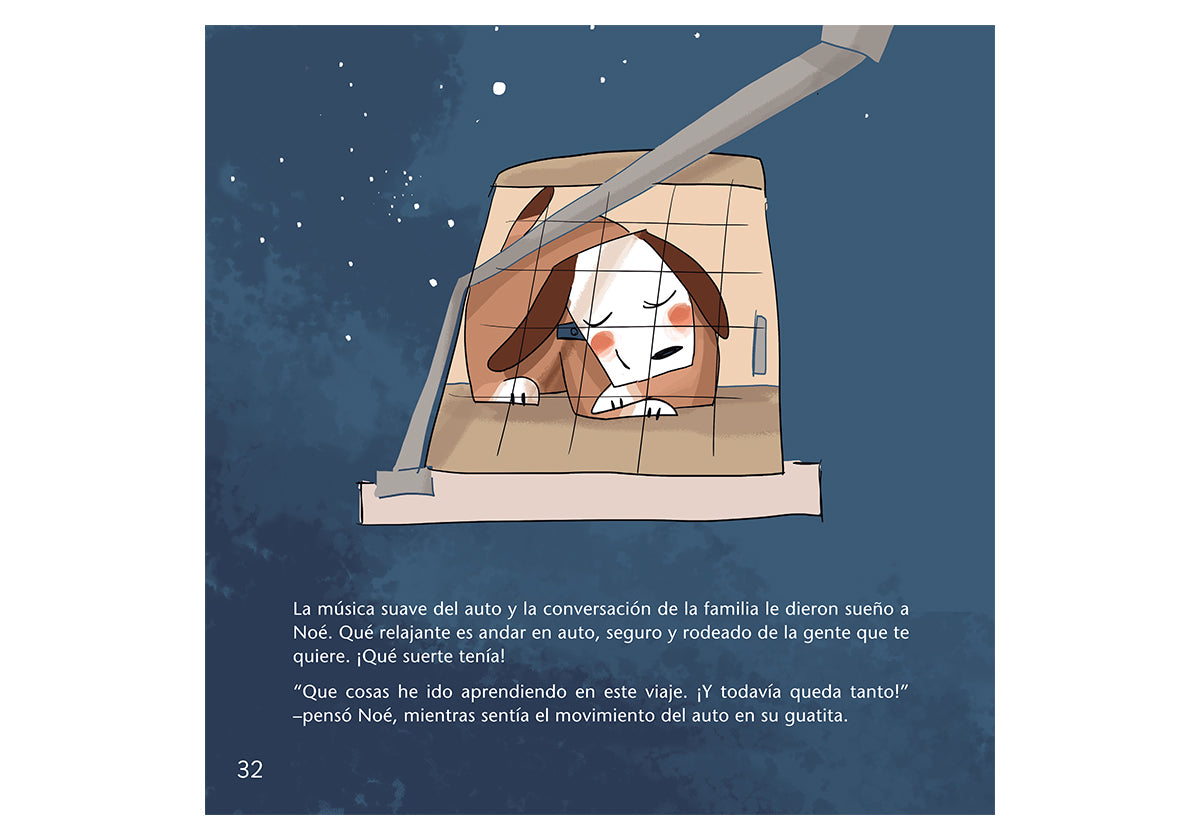 Noé y el cóndor Manque