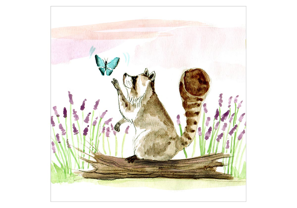 Encuentros cercanos (del tipo silvestre)