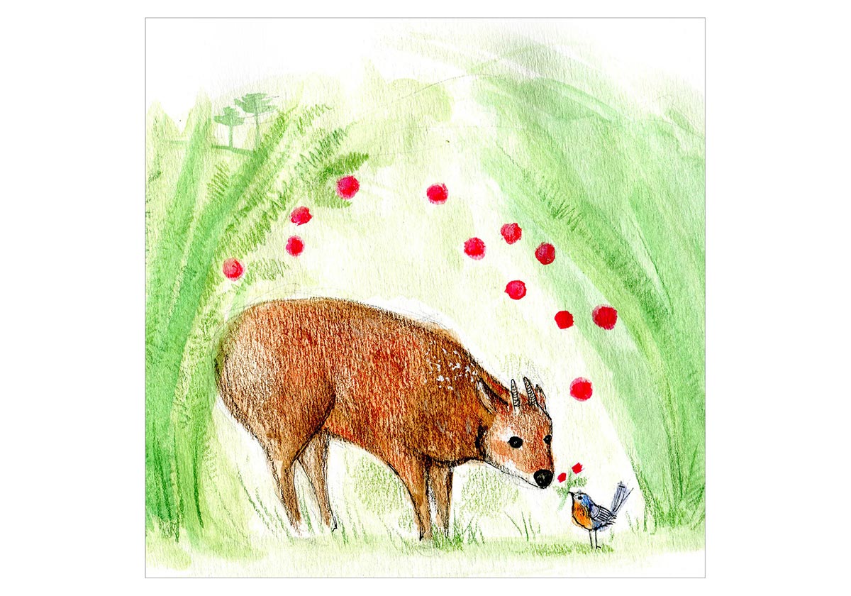 Encuentros cercanos (del tipo silvestre)