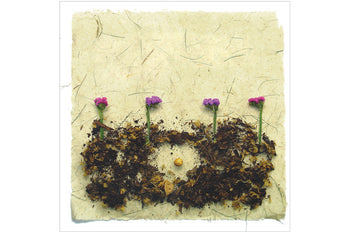 Láminas Kamishibai En el jardín