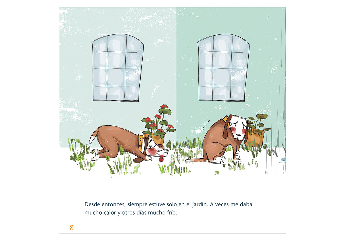 The adventures of Noah