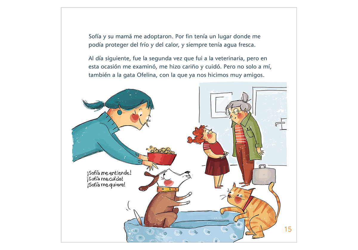 The adventures of Noah