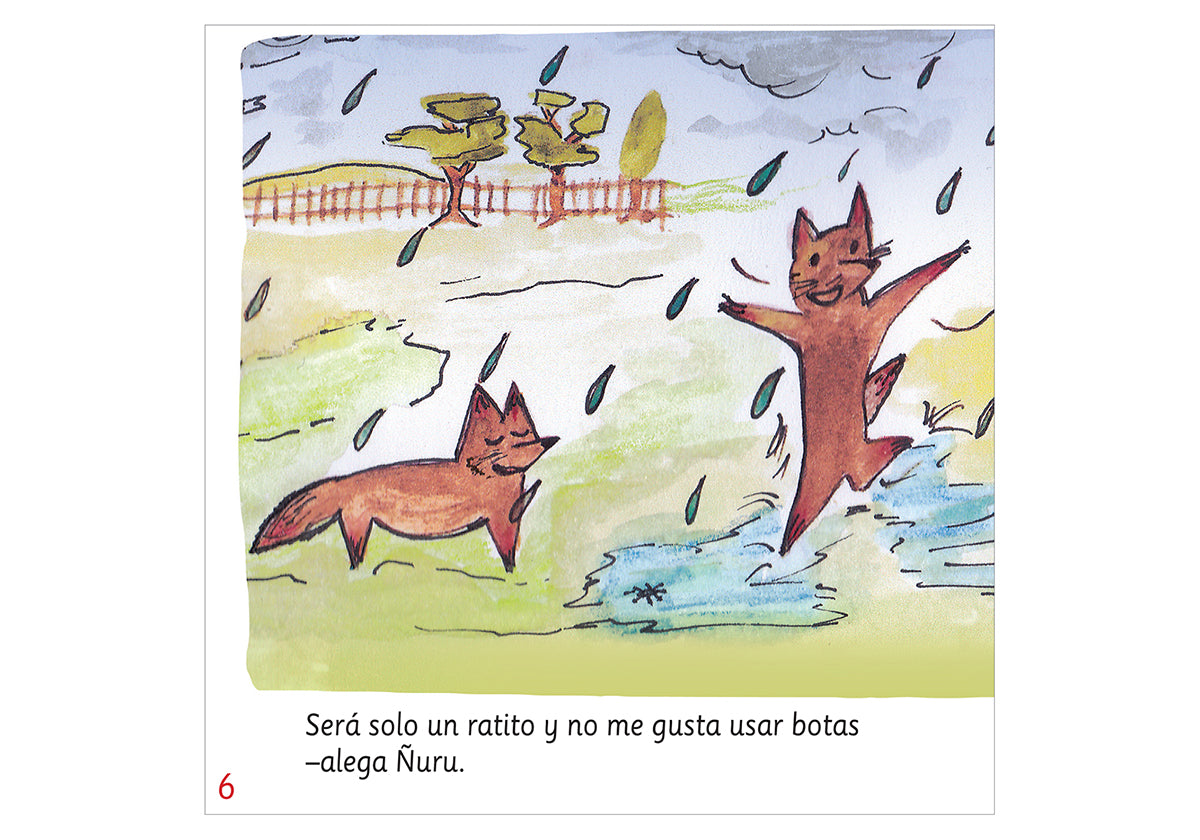 Ñuru, the Little Chilote Fox Who Got a Cold