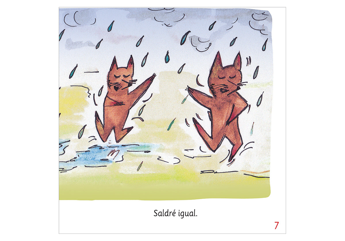 Ñuru, the Little Chilote Fox Who Got a Cold