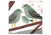 My little Thrush