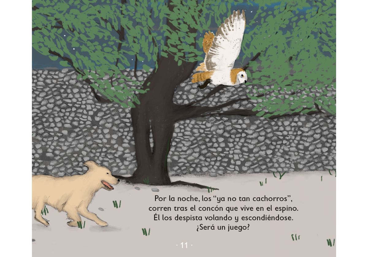 Perrihijos