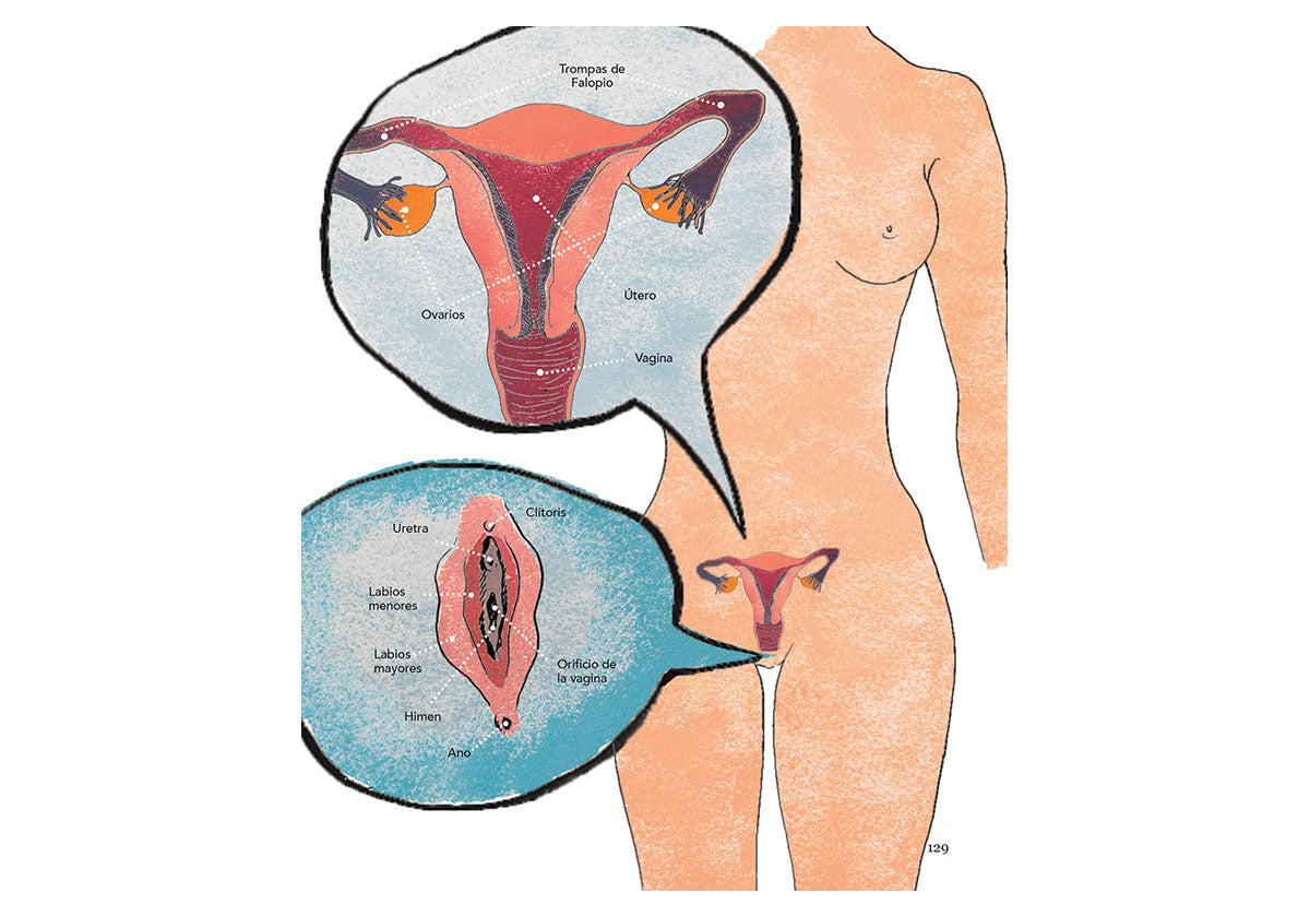 El libro de las chicas