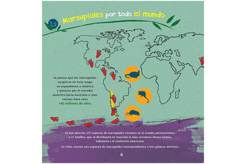 Marsupiales de Chile