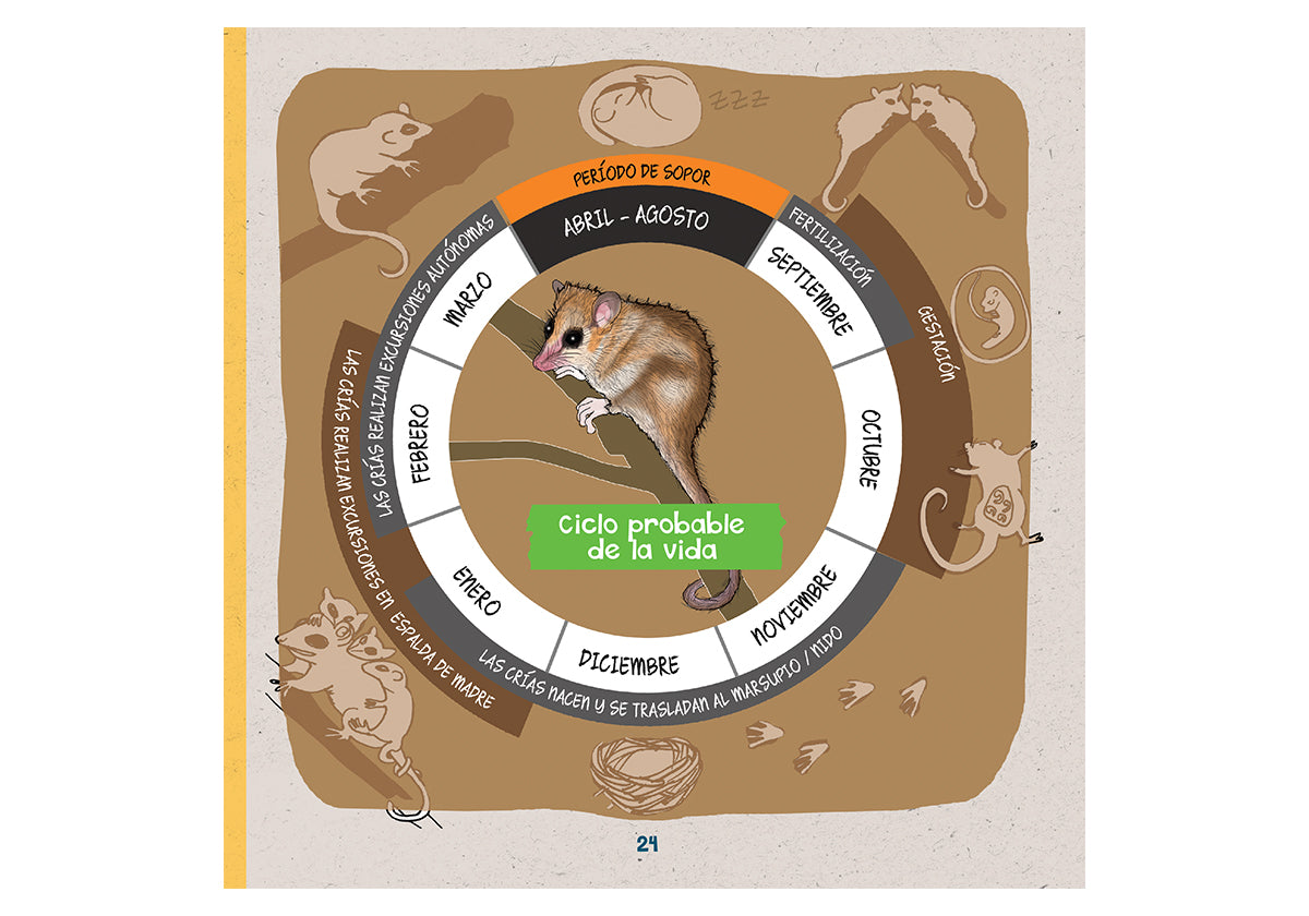 Marsupiales de Chile