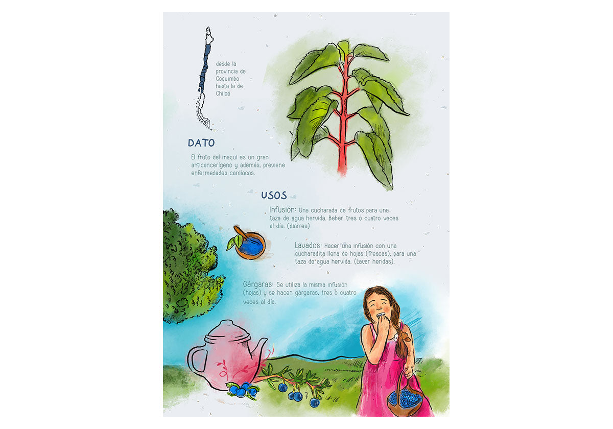 Sana sana, hojita de rama – Recrea Libros
