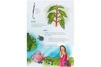 Sana sana, hojita de rama