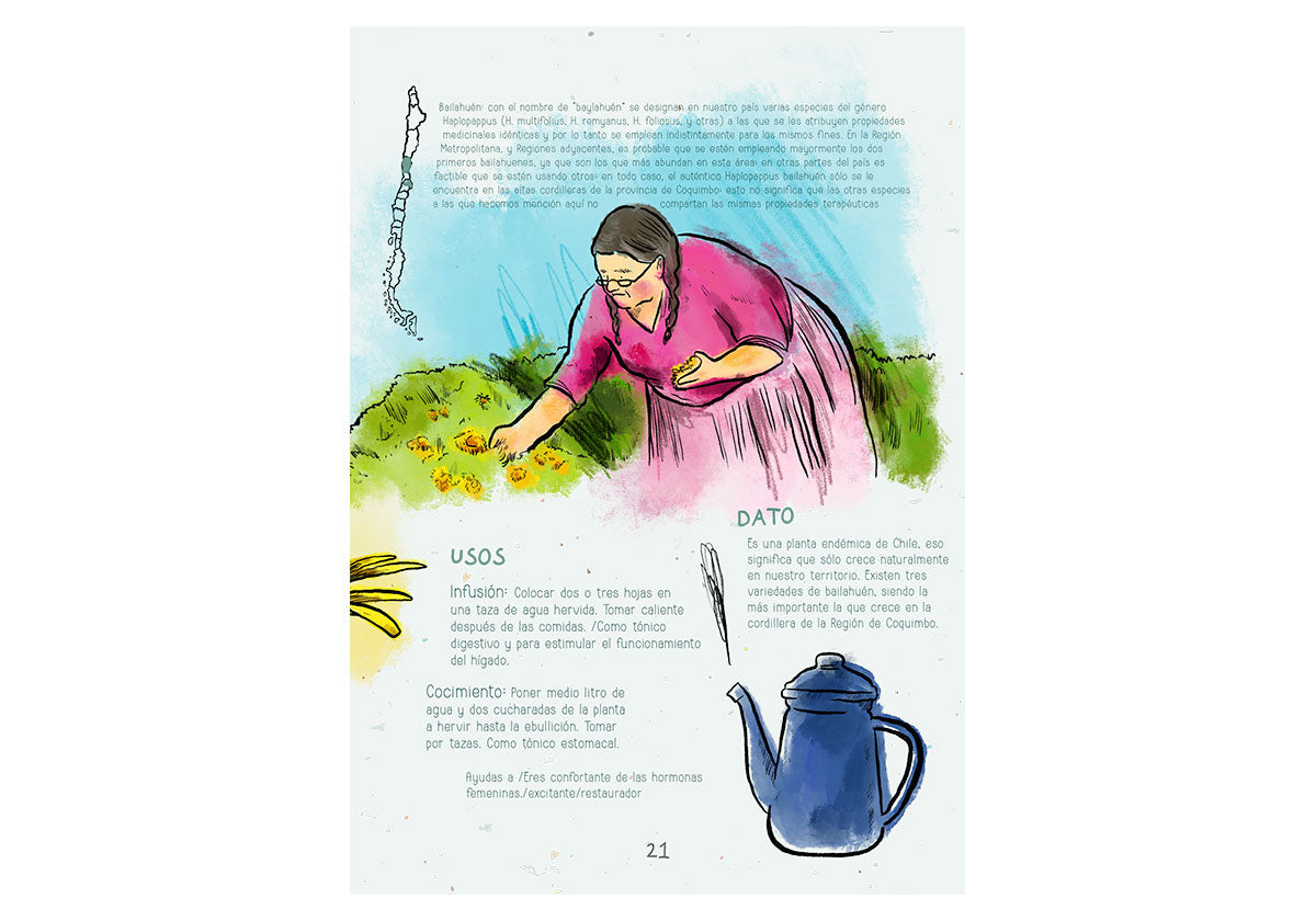 Sana sana, hojita de rama