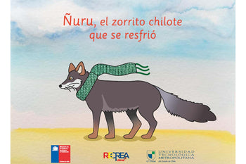 Ñuru, the Little Chilote Fox Who Got a Cold