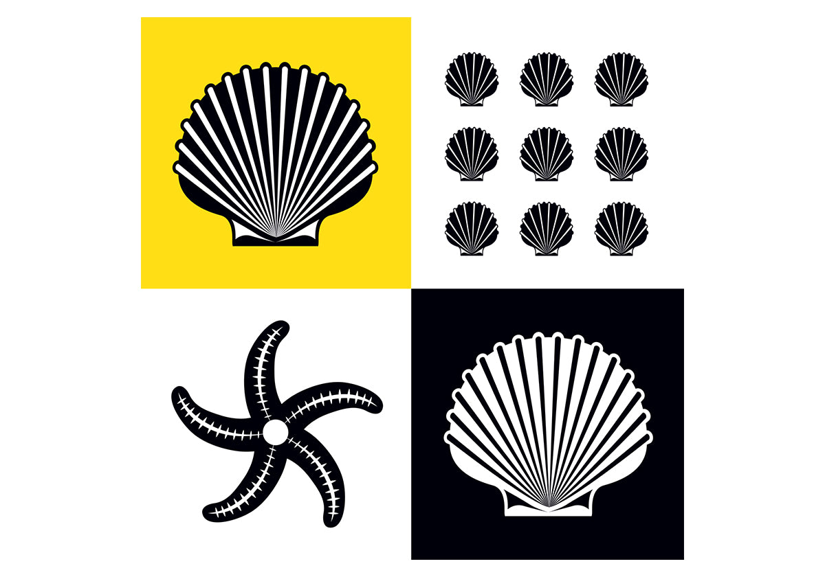 El bebé ve en la playa