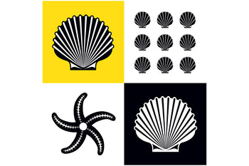 El bebé ve en la playa