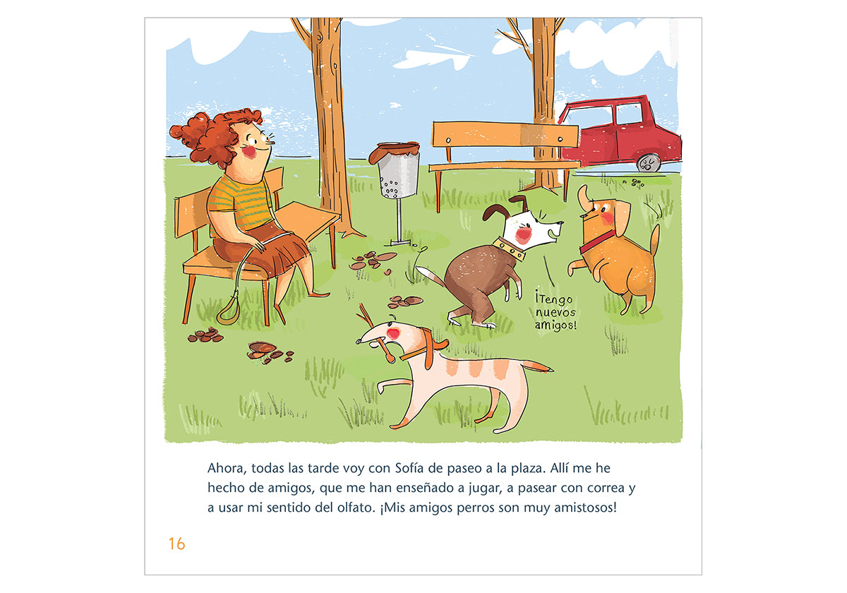 The adventures of Noah