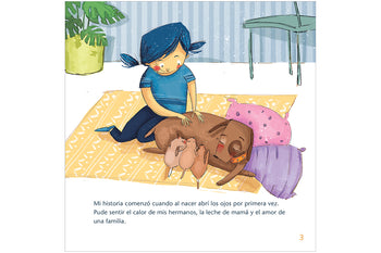 The adventures of Noah