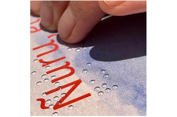 Ñuru, the Little Chilote Fox Who Got a Cold