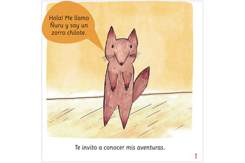 Ñuru, the Little Chilote Fox Who Got a Cold
